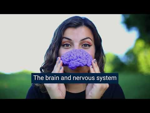 Welcome to the Undergraduate Program in Neuroscience at Georgia Tech
