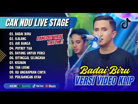 CAK NDU VIRAL TIKTOK - BADAI BIRU - ILALANG - AIR BUNGA | POTRET TUA || DANGDUT VIRAL TERBARU 2025