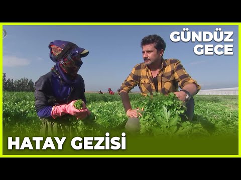 Gündüz Gece - Hatay | 12 Şubat 2022