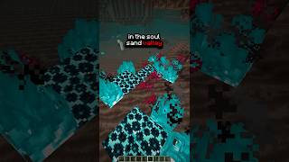 Busting Minecraft NETHER MYTHS 🔥 #minecraft #shorts