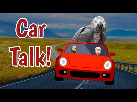 Einstein’s Road Trip: Sweet Talking & Silly Sounds! 🚗🦜💬