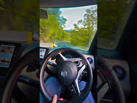 I am warrior, not a worrier. #trendingshorts #unboxing #memes #naturelovers #nature #viralvideos