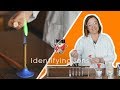 Identifying Ions in Chemistry