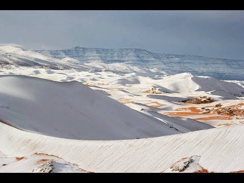 Pantanos de Ola Polar Letra y Video