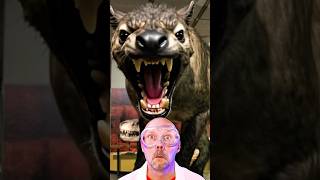 Andrewsarchus