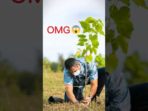 পুরো পৃথিবী তচনচ হয়ে যাবে 😱 যদি এই ছেলেটি কাজ করে বন্ধ হয়ে যায়🤯 তোমরা কি জানো কেনো ??🤔😲 #facts