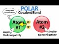 Exploring Polar and Non-Polar Covalent Bonds