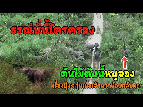 คลิปความสุขช่วยรักษาความทุกข์ในจิตใจความสวยงามที่เห็นแบบนี้ม