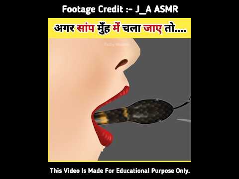 अगर सांप 🐍 मुँह में चला जाए तो... #asmr #shortsvideo