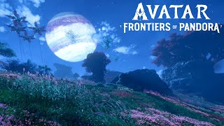 Sounds of Pandora: Nights of the Western Frontier