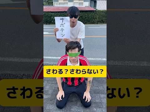 さわる？さわらない？サボテンはヤバイ😅#shorts