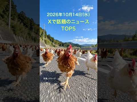 【ランキング】「積み荷はニワトリ3000羽 崩れ散乱」ほか、Xで話題を集めた今日のニュース（10月14日）