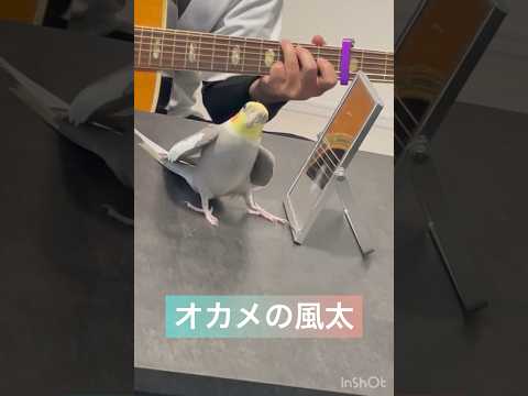 渾身の歌無視ドヤっ!!!!