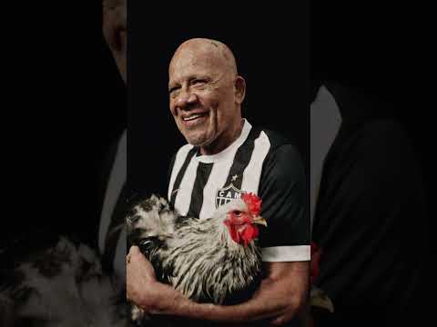 image para ilustrar o artigo