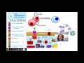 AP Biology Course Overview and Concepts