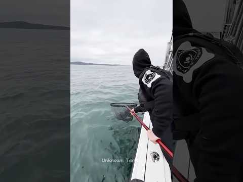 The man caught fish from the sea! 😱