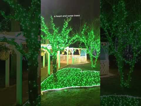 the pictures i took while on vacation