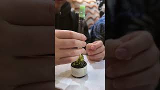 I gave my bestie her first fountain pen! she’s a certified stationery girlie 🖋️ #fountainpen #twsbi