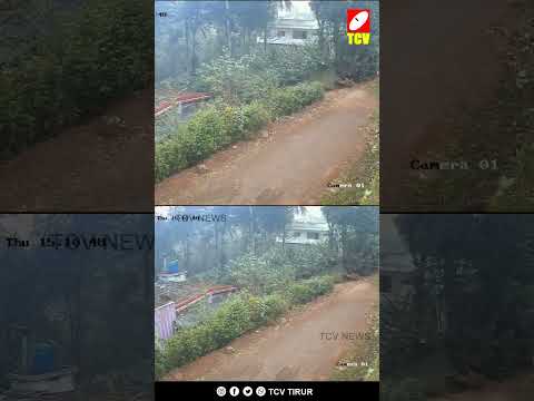 ഇടുക്കി കട്ടപ്പനയിൽ ഉണ്ടായ ഇടിമിന്നൽ . ഇടിമിന്നലിൽ വീടിനുസമീപത്തെ പ്ലാവിന് തീപ്പിച്ചു #shortvideo