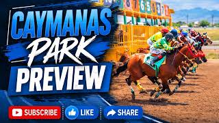 CAYMANAS PARK HORSE RACING TIPS - SATURDAY AUGUST 29, 2026
