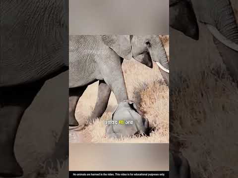 सजा दे दी!😂 #shorts