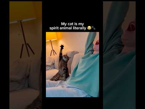 Title: Cat Copies Owner's Yawn Perfectly 😻