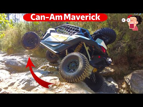 Esqueçam  tudo o que  já andaram    Can Am Maverick