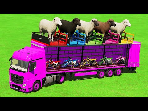 Transporting Mini Massey Ferguson Tractors With Colored Volvo Trucks - Farming Simulator 22