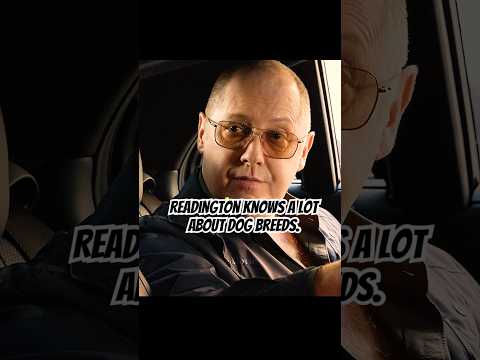 Readington knows a lot about dog breeds. #shortvideo #foryou #theblacklist #series #shorts