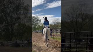 alleyways ❤️‍🩹 #doublesequine #gdarsoaringhawk #wlw #fyp #equestrian