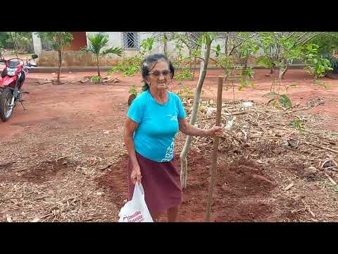 exemplo de vida minha vó com 79 anos trabalhando