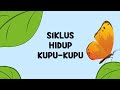 Butterfly Life Cycle and Behavior