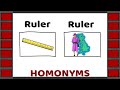 Exploring 50 Homonyms in English Vocabulary