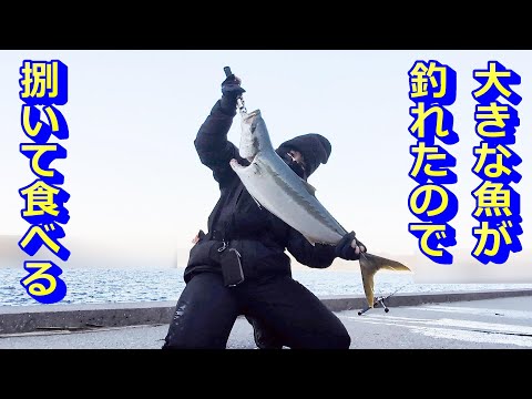 大きな青物が釣れたので捌いていただく！