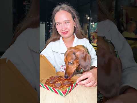 袙小袝 袙袣校小袧携楔袣袠 袛袥携 效袗袩袠孝袨小袠袣袗馃構