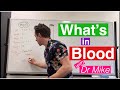 Blood Composition and Functions