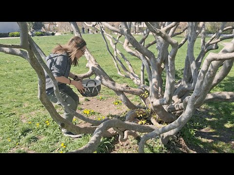 Chasse aux Jeux de Pâques, Plein de Good Vibes & de Trop Belles News !