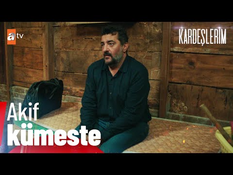 Kümese düşmeyen bir Akif kalmıştı... - Kardeşlerim 57.Bölüm