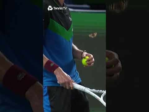 Daniil Medvedev Gets INTERRUPTED By A Butterfly 🥹🦋