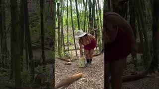 Como se conserva el agua en el campo #viralvideo #videos #campo #nature #naturelovers 
