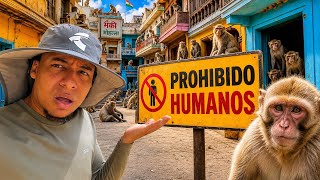 ENTRÉ AL PUEBLO DE LOS MONOS PROHIBIDO PARA HUMANOS EN INDIA 🇮🇳