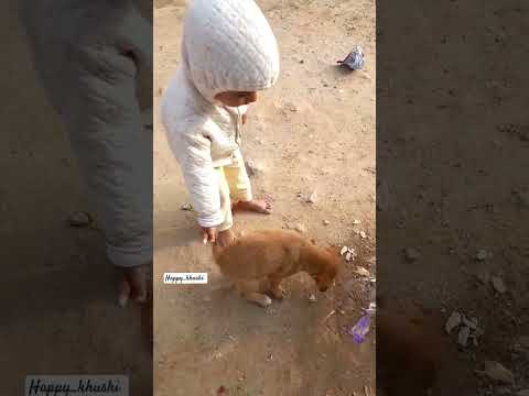 Playing with puppies #happykhushi #funny #comedy #cutebaby #tranding #baby #viral