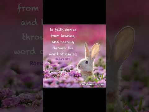 #bunny #rabbit #petlover #christianmusic #christiansongs #dailybibleverse