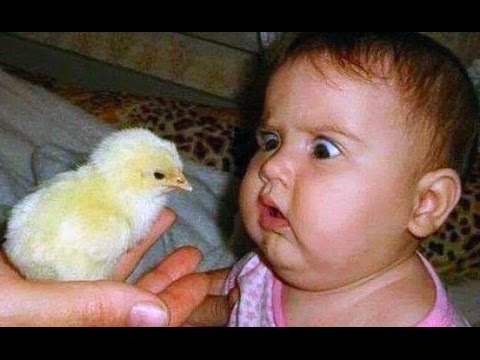 TRY NOT TO LAUGH - Funny Babies Compilation 2017