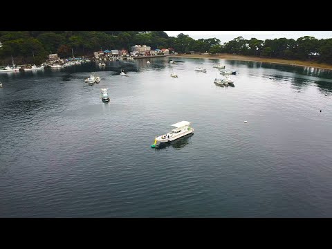 網ですくえるほどの魚影!穏やかな湾にポツンと浮かぶ係留船で集魚灯を焚くと足元で青物が爆湧き