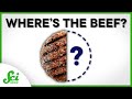 Environmental Impact and Innovations in Food and Medicine