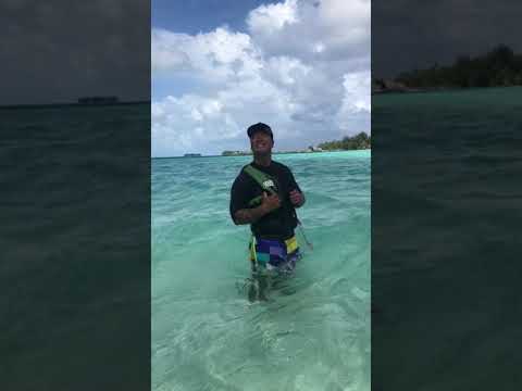 bora bora vacation #shorts