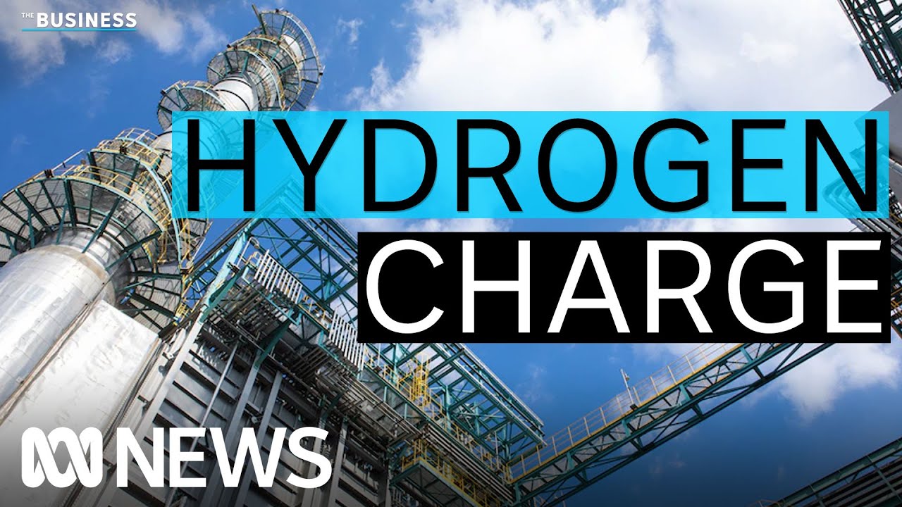 Australian hydrogen in demand as South Korea eyes net zero target | The Business