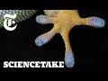 Gecko-Inspired Technology and Research