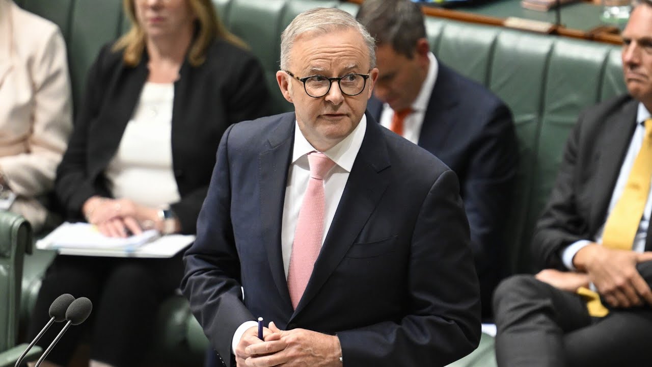 ‘Rattled under pressure’: Anthony Albanese makes question time blunder